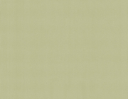 03885-20